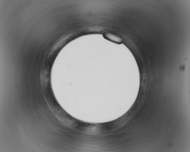 X0000115630116200912221257