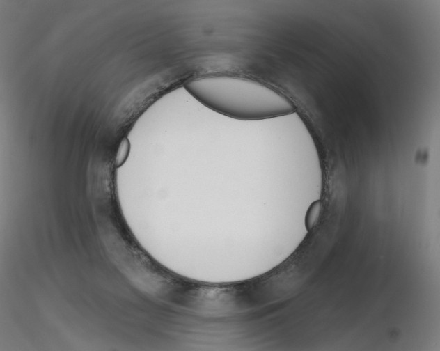 X0000115630117200912221257