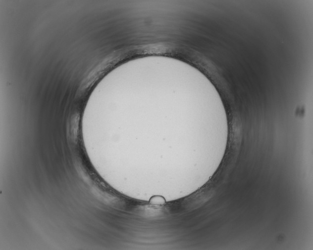 X0000115630118200912221257