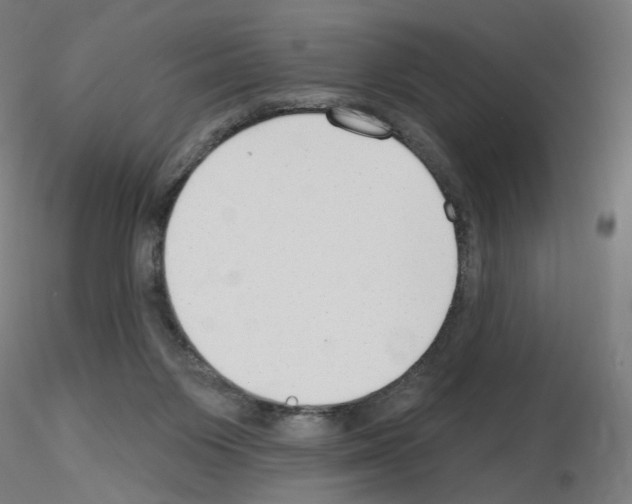 X0000115630119200912221257