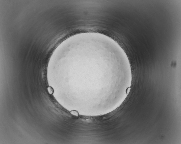 X0000115630120200912221257