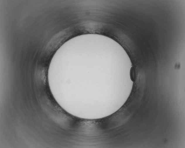 X0000115630121200912221257