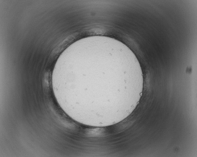 X0000115630122200912221257