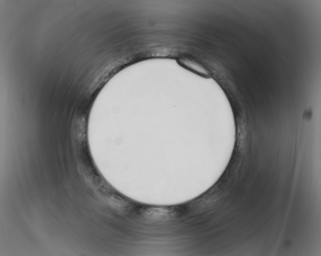 X0000115630123200912221257