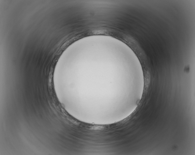 X0000115630124200912221257