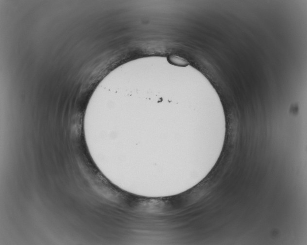 X0000115630125200912221257