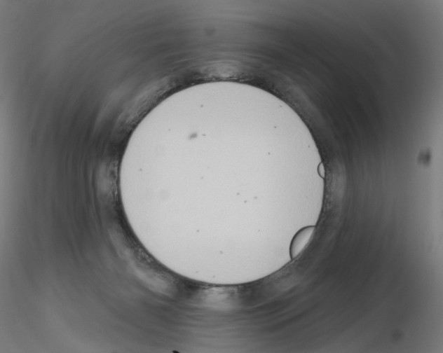 X0000115630126200912221257