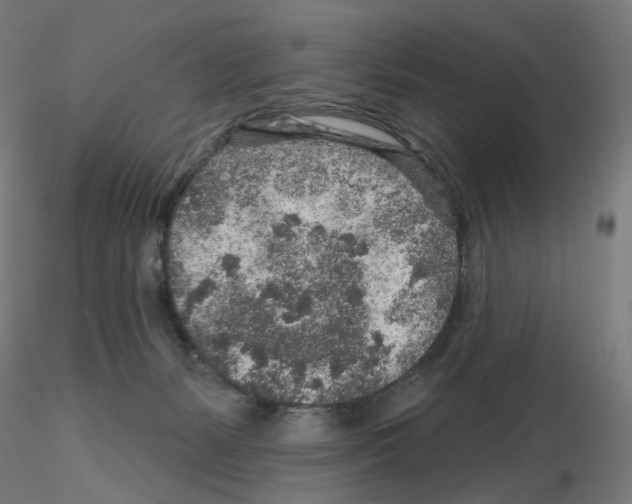 X0000115630127200912221257