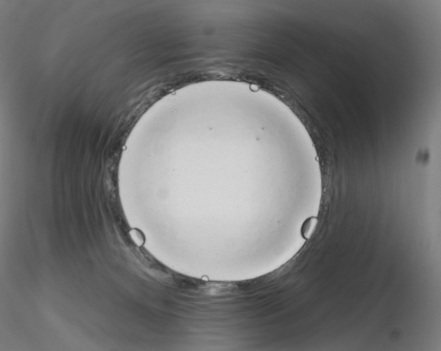 X0000115630128200912221257