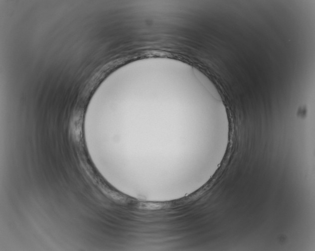 X0000115630129200912221257