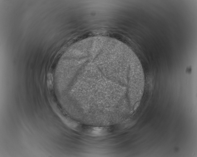 X0000115630130200912221257