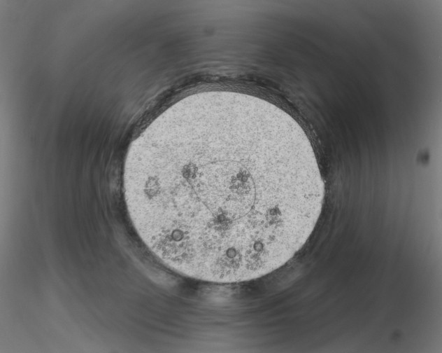 X0000115630131200912221257