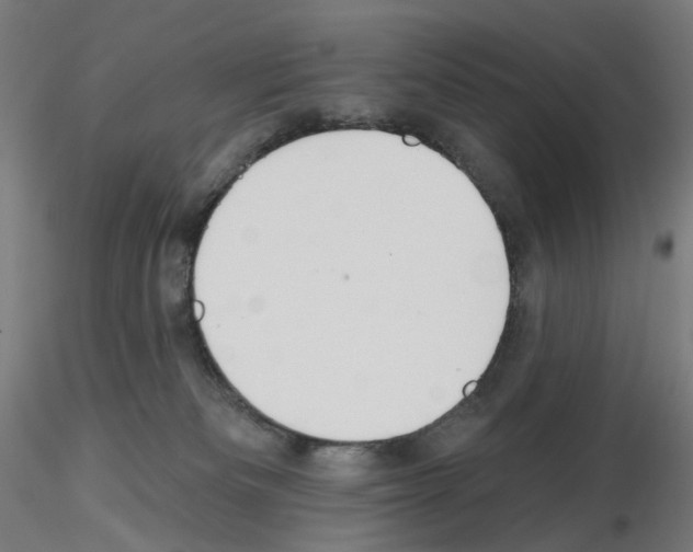 X0000115630133200912221257