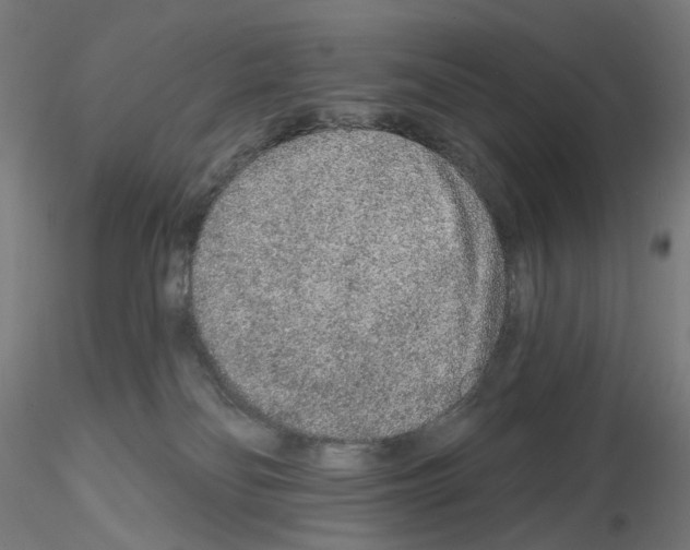 X0000115630134200912221257
