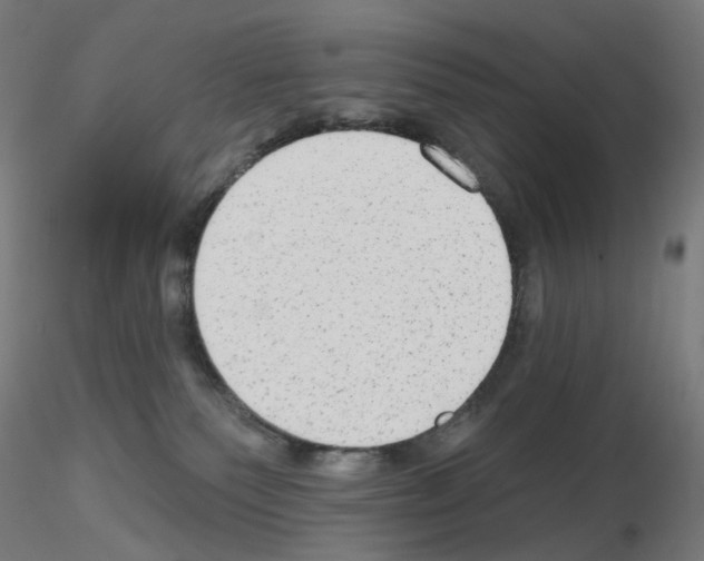 X0000115630135200912221257