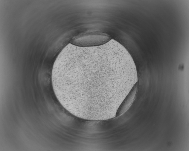 X0000115630136200912221257