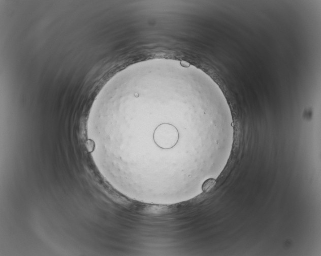 X0000115630137200912221257