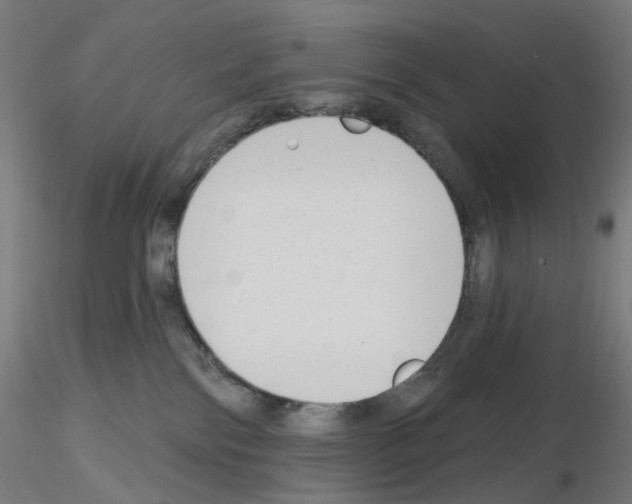 X0000115630138200912221257