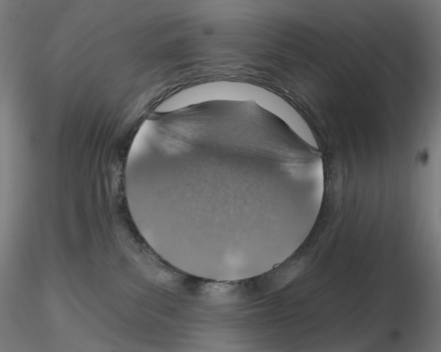 X0000115630139200912221257