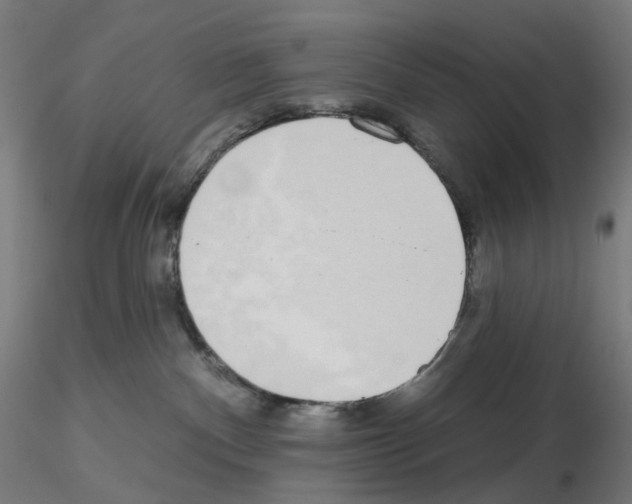 X0000115630140200912221257