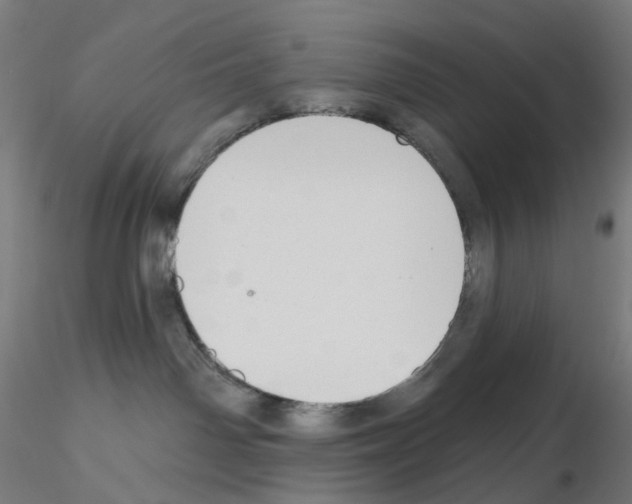 X0000115630142200912221257