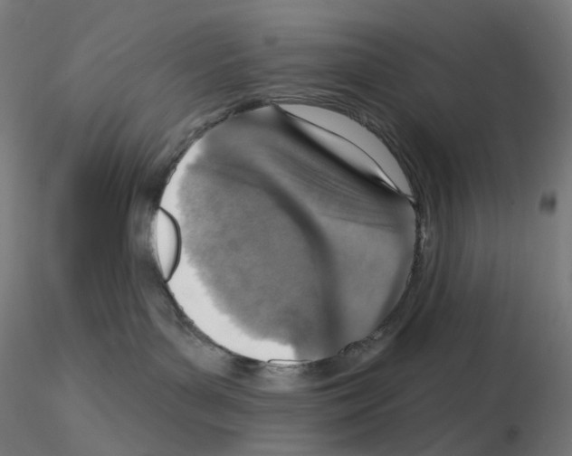 X0000115630143200912221257