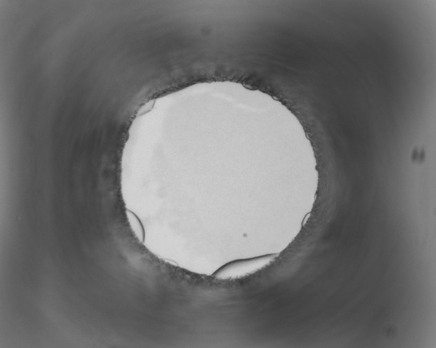 X0000115630144200912221257