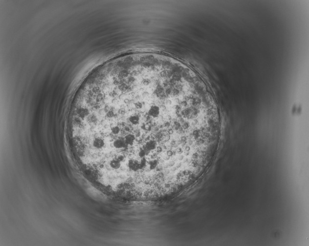 X0000115630145200912221256