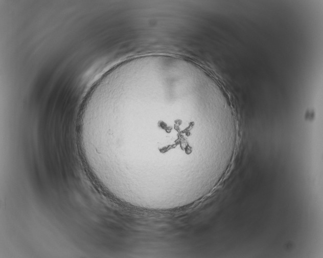 X0000115630146200912221256