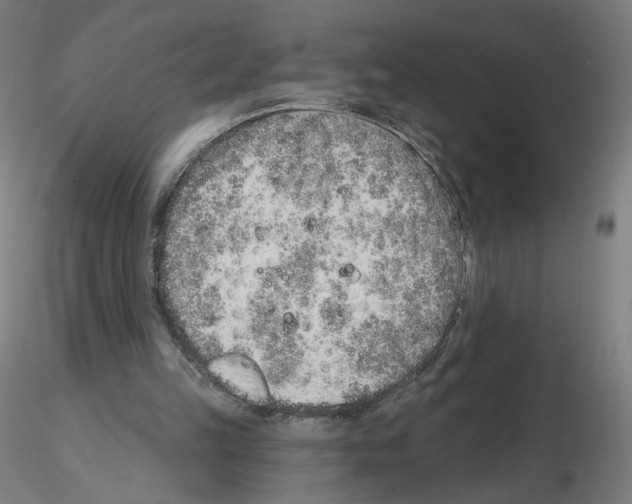 X0000115630149200912221256