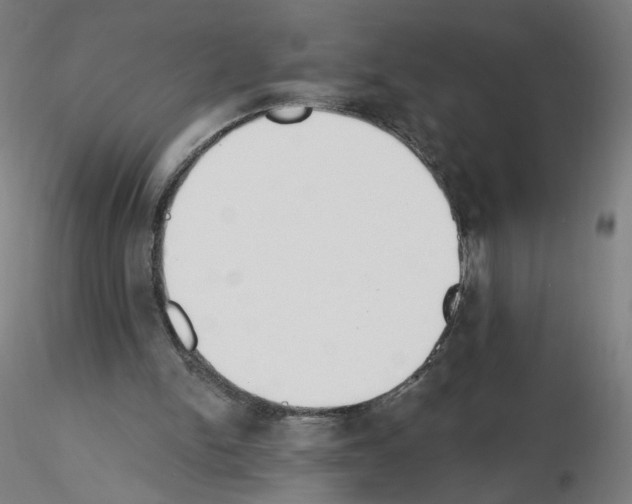 X0000115630150200912221256