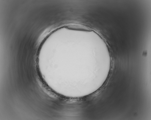 X0000115630151200912221256