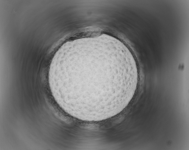 X0000115630153200912221256