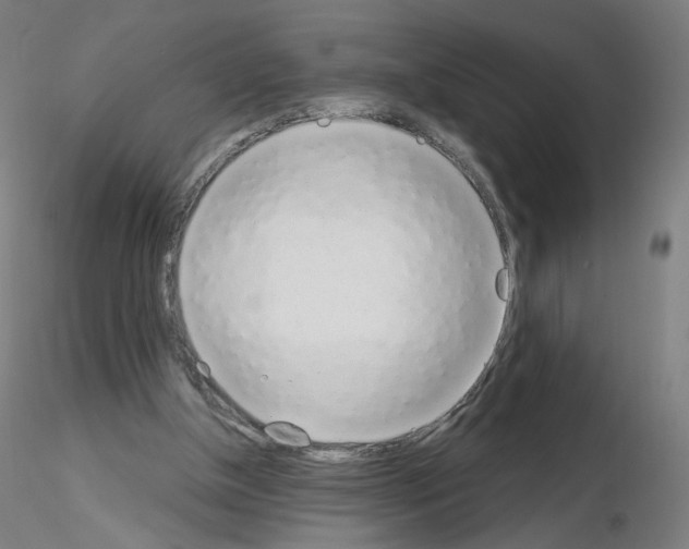 X0000115630154200912221256