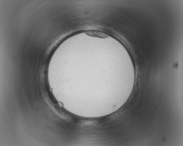 X0000115630155200912221256