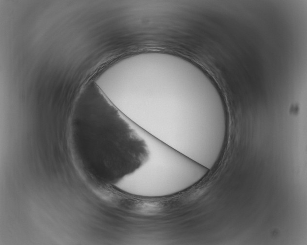X0000115630157200912221256