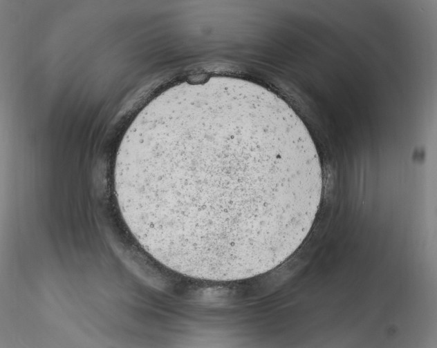 X0000115630158200912221256