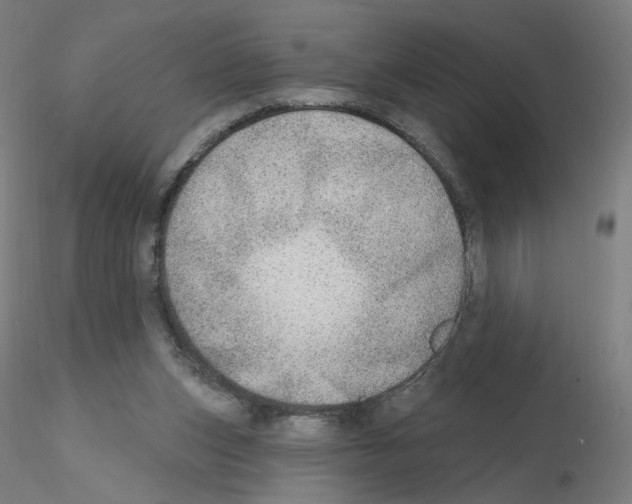 X0000115630159200912221256