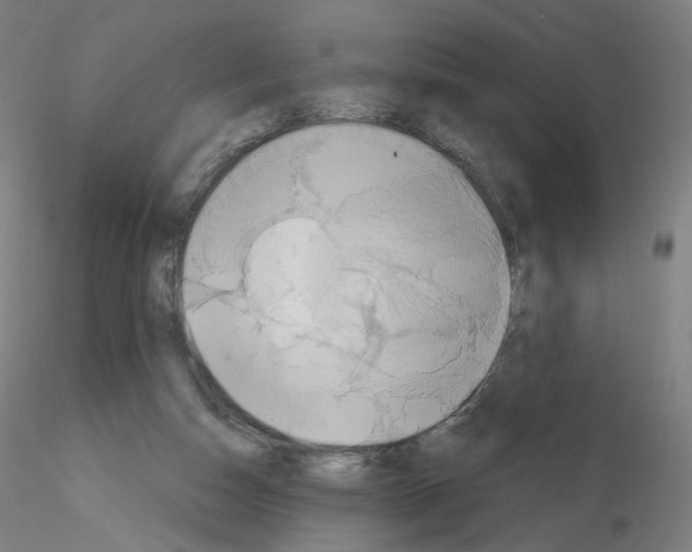 X0000115630162200912221256