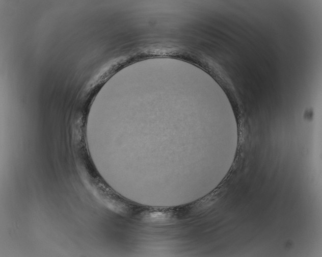 X0000115630163200912221256