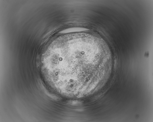 X0000115630165200912221256