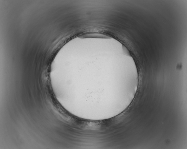 X0000115630166200912221256