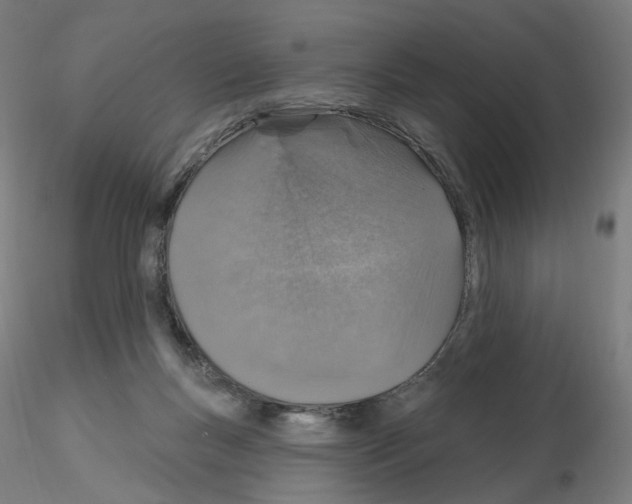 X0000115630167200912221256