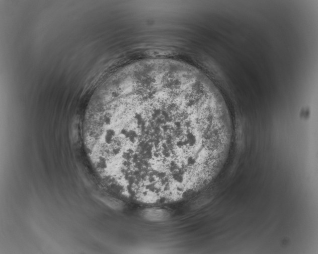 X0000115630169200912221256