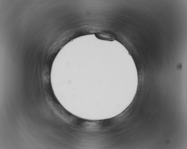 X0000115630170200912221256