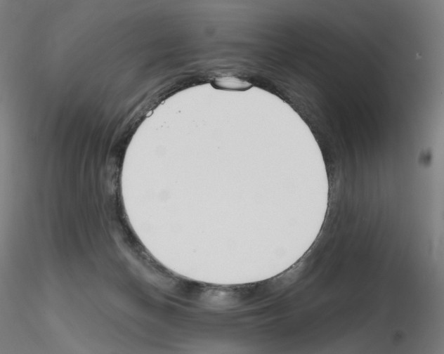 X0000115630174200912221257