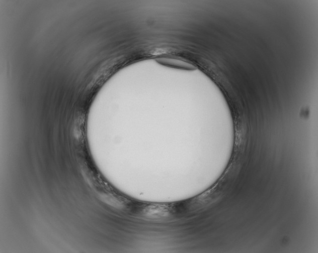 X0000115630175200912221257