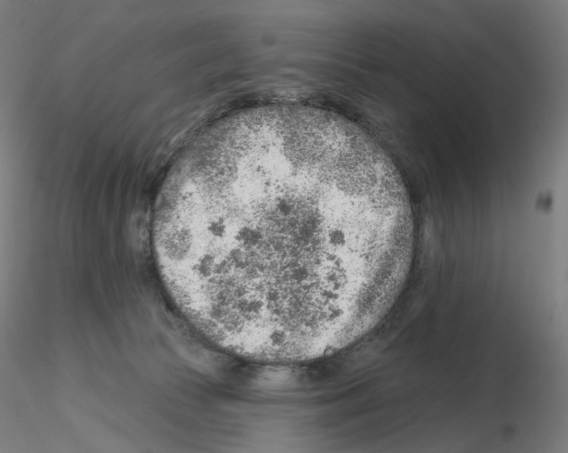 X0000115630177200912221257