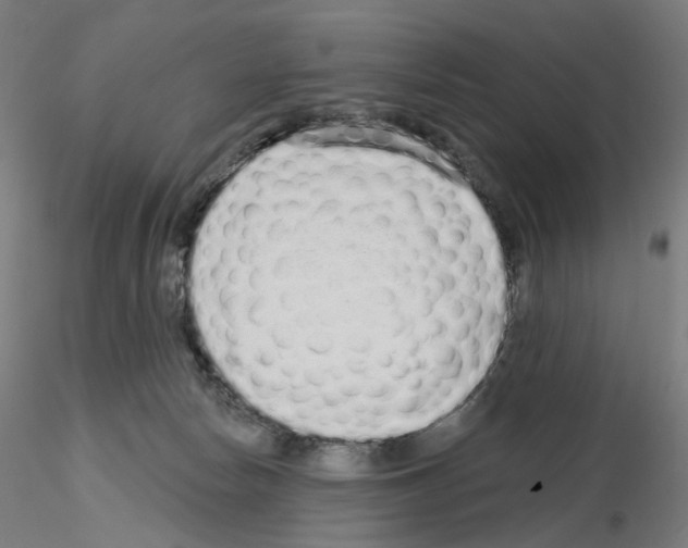 X0000115630178200912221257