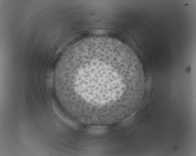 X0000115630179200912221257